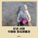 내판1리종합복지관 | 경북 얼음썰매장 문경 산양 우마이 얼음썰매 후기