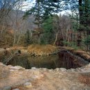 순천-46호 이미지