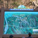 신여사