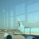 수달수영장 앞 | [파드마 리조트] 발리 우붓 리조트, 수영장 아침요가 액티비티 조식 후기, 우붓숙소 신혼여행 추천...