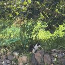 마상경로당 이미지