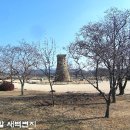 봄소리 이미지