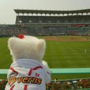 도그데이 이미지