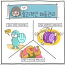 상록수레저