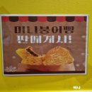 옥성리 맛집 카페봄봄 흥해점 방문후기