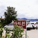 (주)다미원 이미지