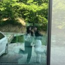 옥류정펜션가든 이미지