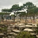 보스케 키즈