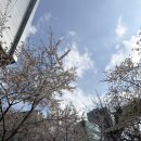 뚜레쥬르 | 아그작 무스케이크 가격, 뚜레쥬르 내돈내산 본점 후기