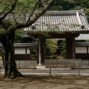 세븐일레븐 인천관교신비점 | 단순한 모험이 주는 행복이 있다