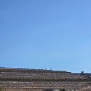 마산영생원 이미지