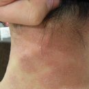 가온누리한의원 이미지