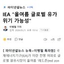 IEA "올여름 글로벌 유가 위기 가능성" 이미지