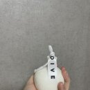 다이브프래그런스