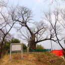 수산리-1 이미지