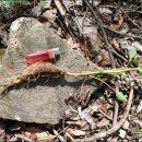 산속농원 이미지