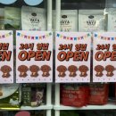 부광퍼피 이미지