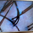 햇빛안마클리닉 이미지