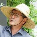 우리씨드 이미지