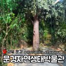 문경자연생태박물관 | 문경 자연생태박물관 아이와 가볼 만한 곳 자연을 체험하는 공간