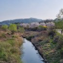 집너머교 이미지