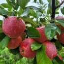 윤기농장 이미지