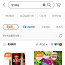 롯데온누리약국 네이버블로그
