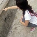 希 바랄 희 이미지