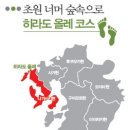 올레길 - 서귀포시 일주서로43번길 8-4 | 올레길