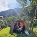 천안 트리하우스 이미지