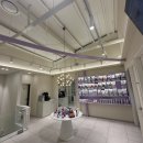 유수의과 동물병원 | 용인고양이병원, 집사의 초기 관찰이 전신 건강에 중요한 이유