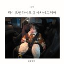 아이라이크핏 | 육아필수품 추천 라이크앤라이크 유아카시트커버 사용후기