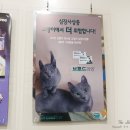 MS동물병원 이미지