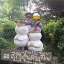 용우네 이미지