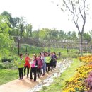 서구 보건소 건강증진센터 이미지