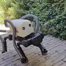 베로(VERO)