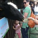 지평선목장 이미지