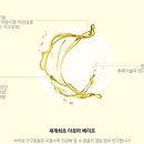 비타민전자 이미지
