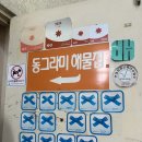 UR(동해시)-[효자로]-상-1 | 동해 묵호 내돈내산 맛집 동그라미 해물집 / 가성비👍 생선구이와 회를 한번에👏