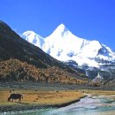 차마고도 이미지