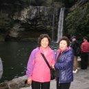 천지연폭포 이미지