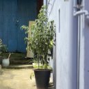 겨울연가 동상 이미지