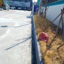 채움주유소 이미지