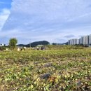 길상농장 이미지