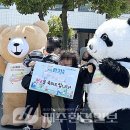 2025 성안올레 걷기 축제 이미지