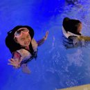 구공스테이 안토이 비토 이미지