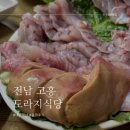 [전남 고흥 맛집] 한우 육사시미맛이 나는 황가오리회 맛집 도라지식당 내돈내산 후기