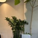 무수골 도서관 | 모순 (양귀자) 독서 후기