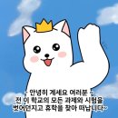 한국코코 네이버블로그