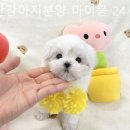 장림1동-10 이미지